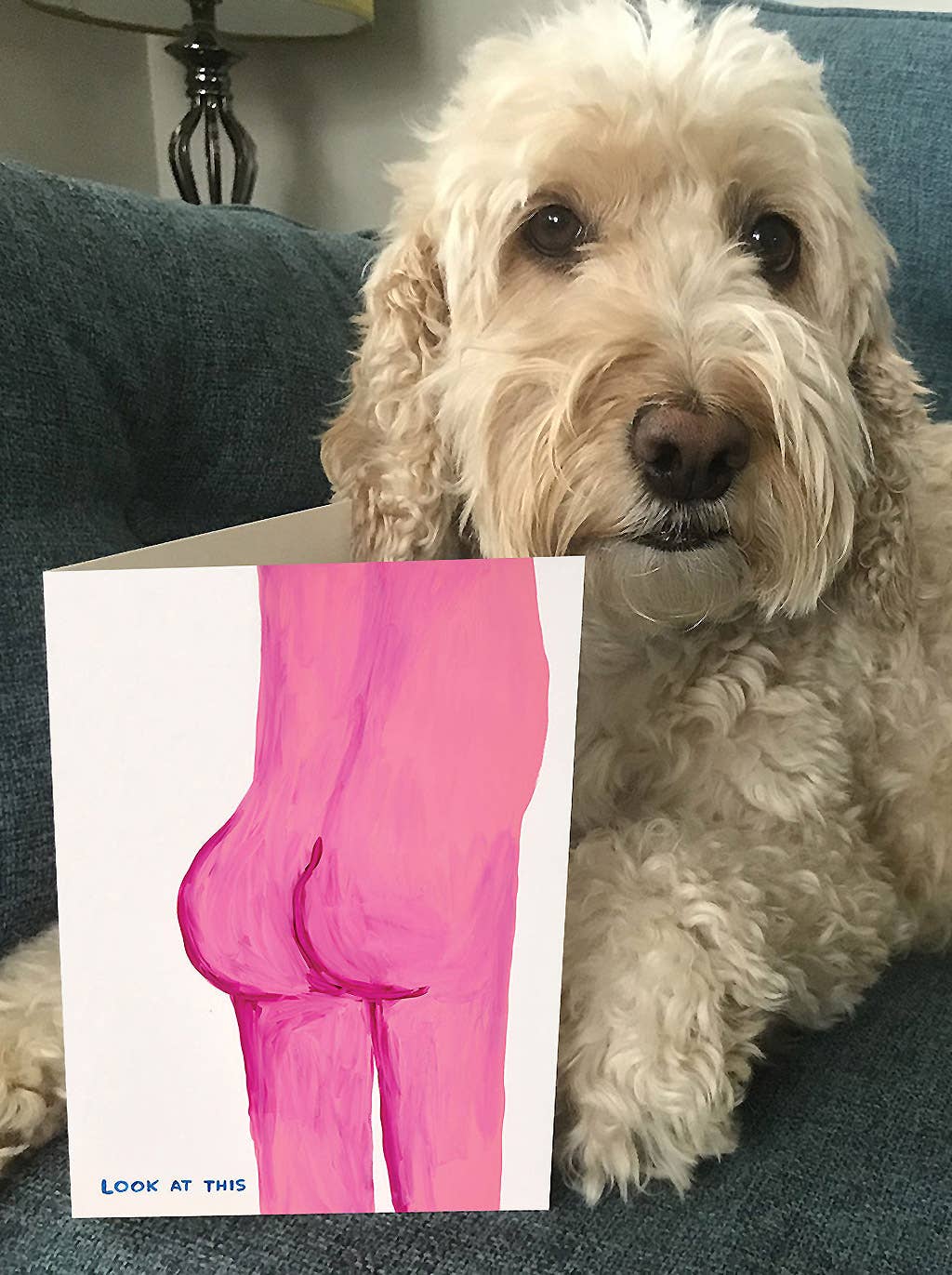 David Shrigley Card Look At This Bum