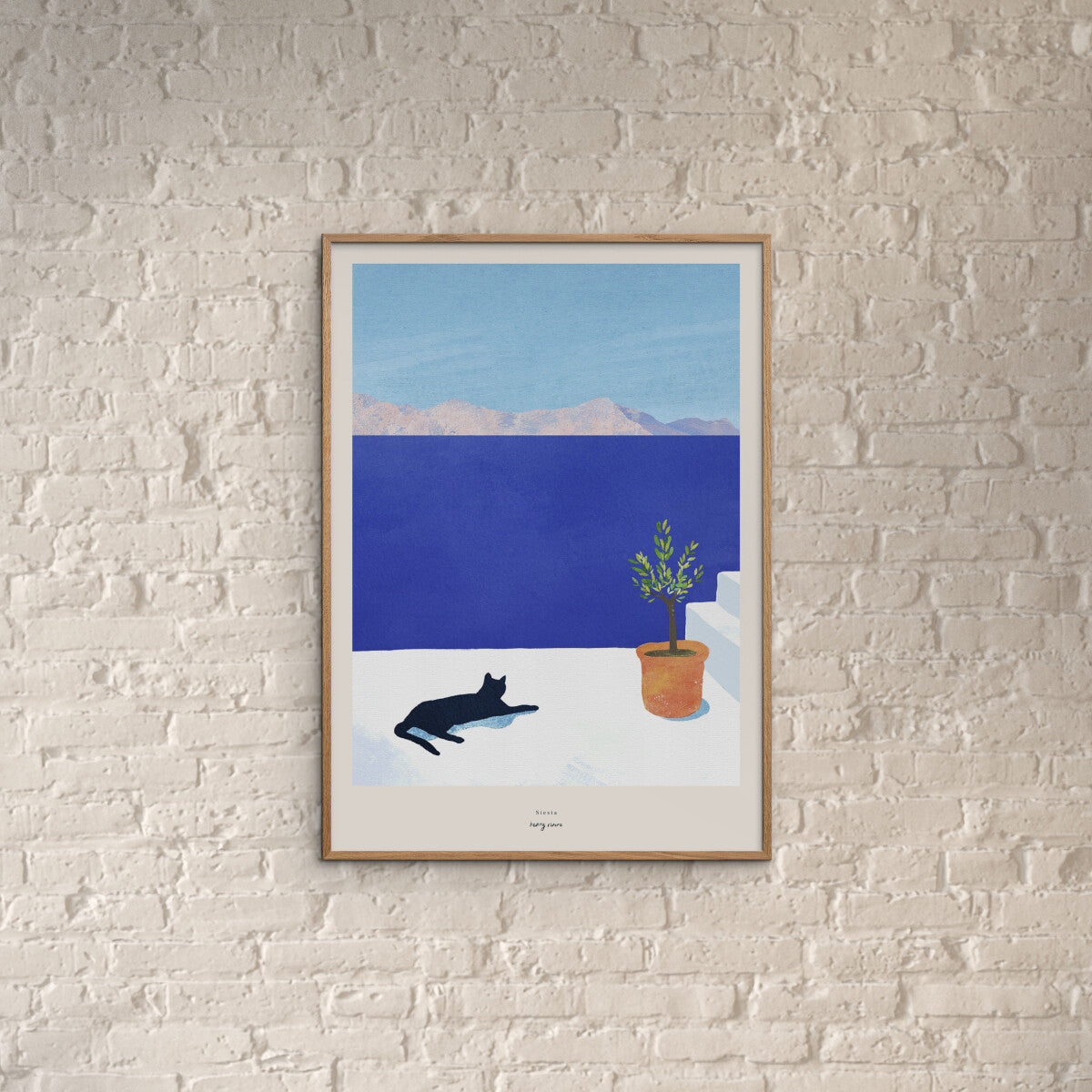 Siesta - Black Cat 2