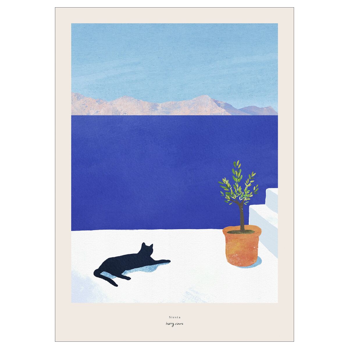 Siesta - Black Cat 2