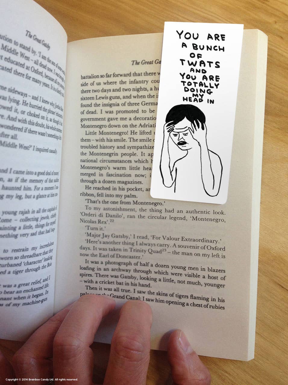 David Shrigley Magnetic Bookmark Bunch Of Twats