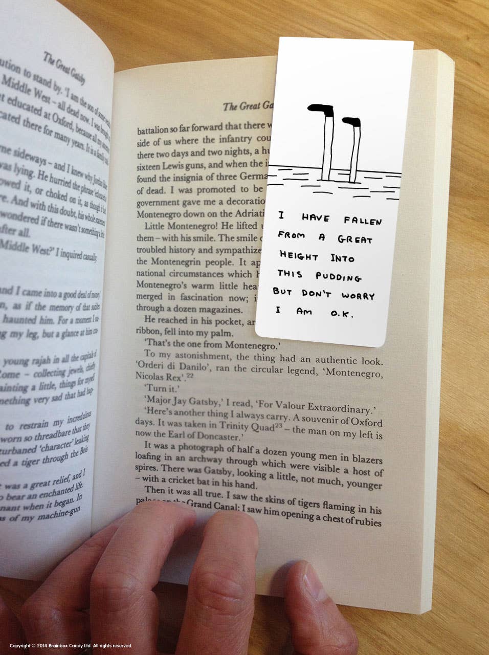 David Shrigley Magnetic Bookmark Pudding