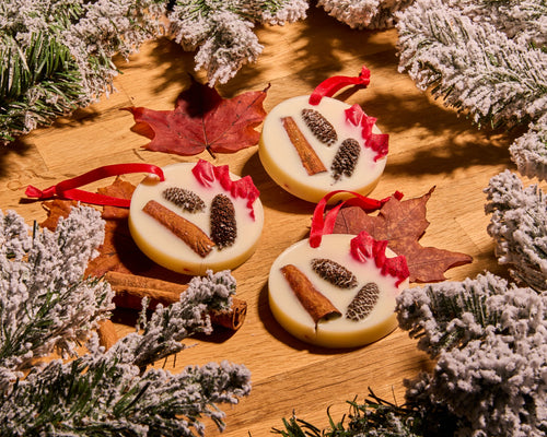 Spiced Apple Tree Decoration - Apple, Cinnamon and Nutmeg