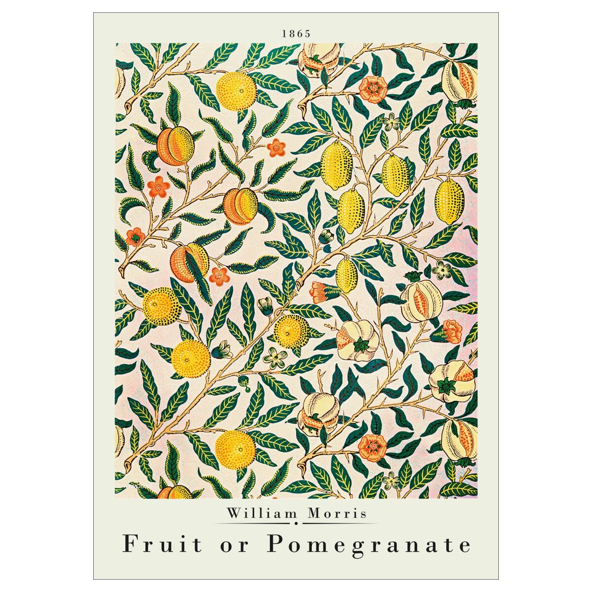 Pomegranate