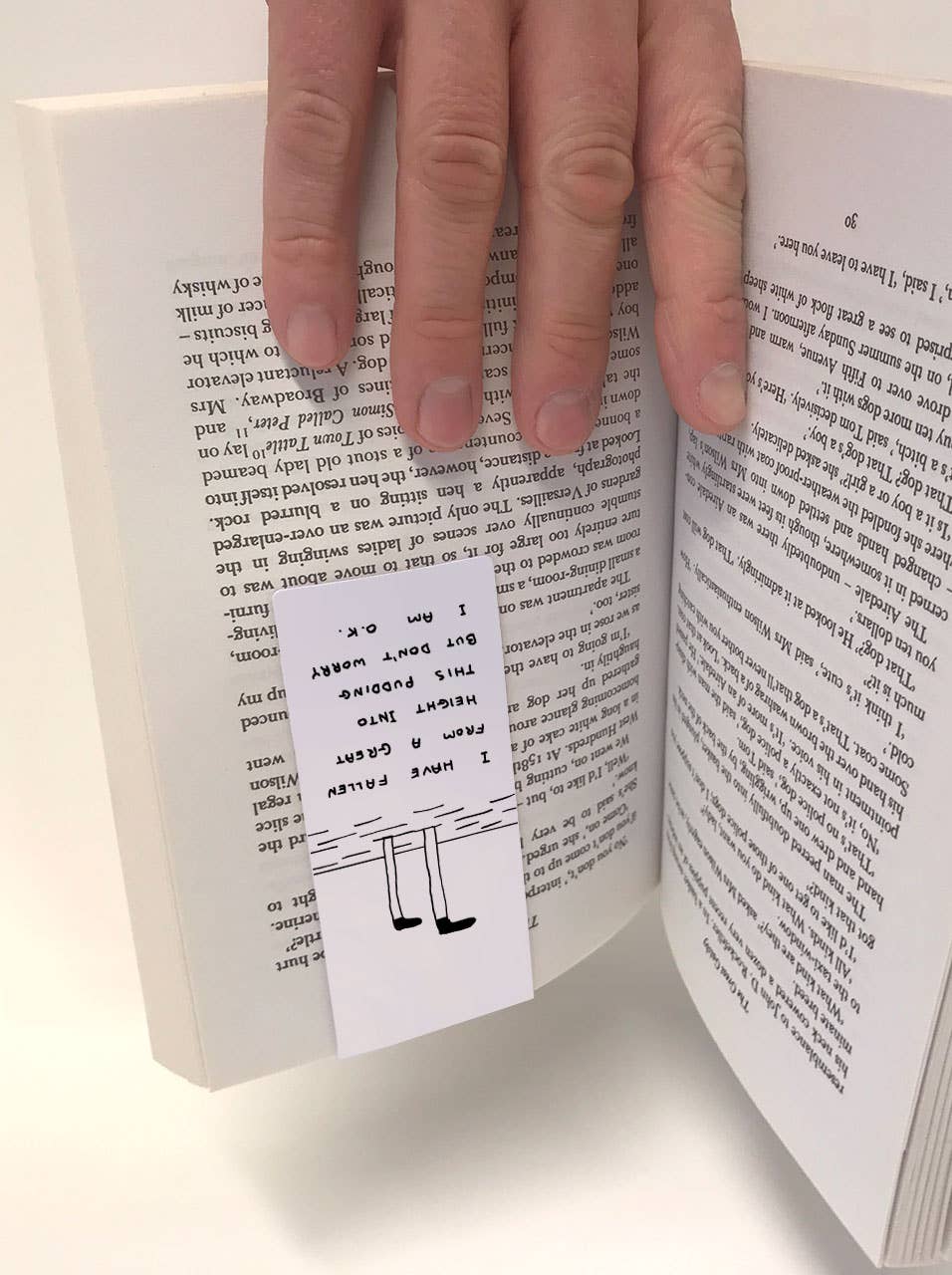 David Shrigley Magnetic Bookmark Pudding